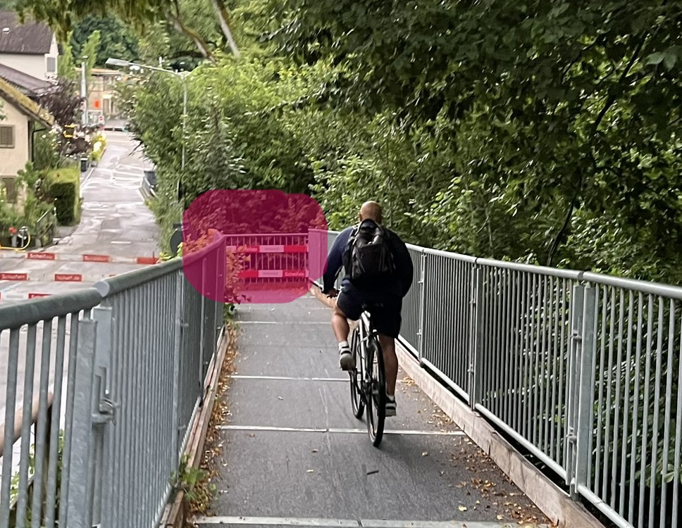 Scheifele Unfall Zürich